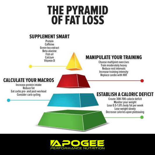 The Objective Truth: Why You're Not Losing Weight